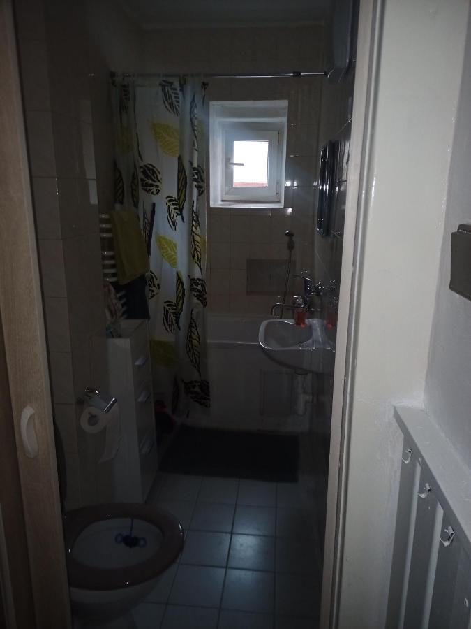 Na Cervene Louce Apartman Cheb Lejlighed Eksteriør billede
